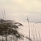 Foggy afternoon along the Emerald Coast
