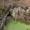 A steep-walled sink with duckweed-covered water