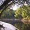 Suwannee River at Holton Creek river camp