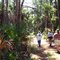 Trail/road to walk in Tosohatchee