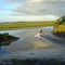 air boat on the St Johns River, near Christmas, Florida (6-2006)