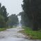 first road around the south side of Lake Okeechobee, Corksrew blvd, Lake Harbor (2-27-2010)