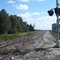 TRACKS