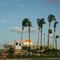 Dolphin Stadium, Miami, Florida