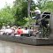 viaje por los everglades