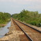 Lake Lafayette Railroad