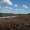 Alford Arm, Lake Lafayette