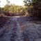 Equestrian trail