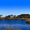 The "Big Lake" at Sarasota County's Oscar Scherer State Park