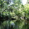 Oscar Scherer State Park
