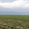 SouthDade Farming fields