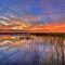 Florida Everglades sunset