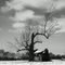 Lonesome Home