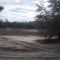 Brown Pond Off High Tension Rd Ocala Forest