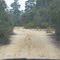 HUNTER'S  ROAD