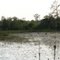 Suncoast trail