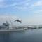 Pelican in Mayport (German Navy 2007)
