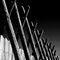 Cross Poles