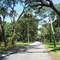 Fort George Road, Fort George Island, Florida (6-2006) 1