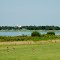 Sand Hill Cranes at Lake Wales, FL