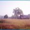 Misty Morning along Floyd Road.  ( the barn is gone as of 2011)