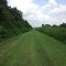 Lake Apopka Restoration Area Trail