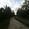 Chapman Field Park