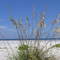 Thorton Key