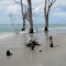 Stump Pass Beach
