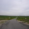 William's Farm