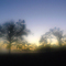 Sunrise Across a Florida Field