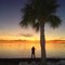 Photography of the Sunset