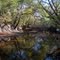 The river was beautiful but barely flowing