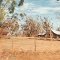 Florida cracker house, rural Union County (5-26-1997) scanned 35mm