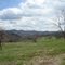 Sugar Hill