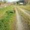 Early morning mid-winter run -18.07.11
