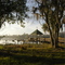 Boat Dock, Wilderness Lake Preserve