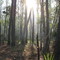 Lower Suwannee National Wildlife Refuge