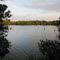 Conch Key Pond