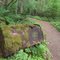 Logging relics along Whistle Punk trail