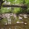 PCT bridge over Trout Creek
