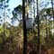 Old Barrel Hanging in Tree