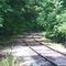 Mt Dora Rails