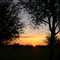Sunset in Mt.Dora
