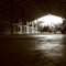 Suwannee Stables