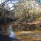 Alapaha River