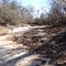 Alapaha River