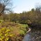 Big Beaver Creek, Dunn County, WI