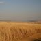 Mpumalanga, South Africa, 09-06-2006