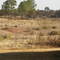 Plot 145 Tierpoort, Pretoria